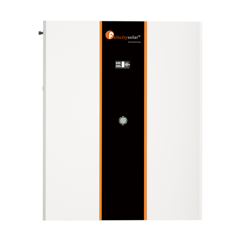 LPBF24300