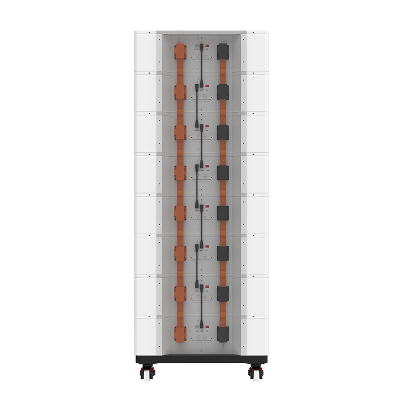 FLS48100SG1